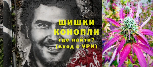 ПСИЛОЦИБИНОВЫЕ ГРИБЫ Алексеевка