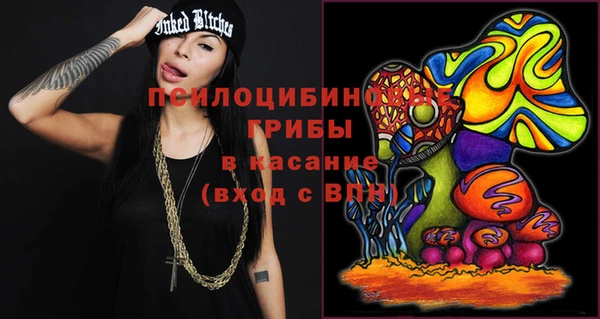 прущие крисы Нефтекумск